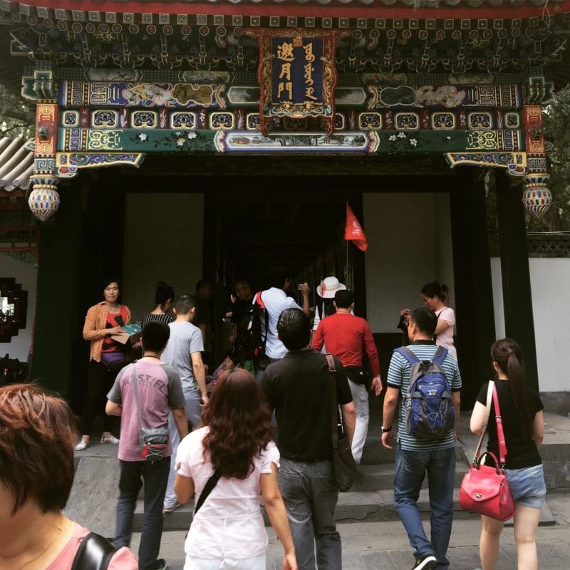 worst tour guide in the world